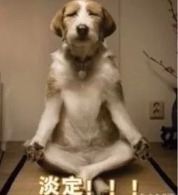 林允同款蛇毒眼膜真的这么好用吗？