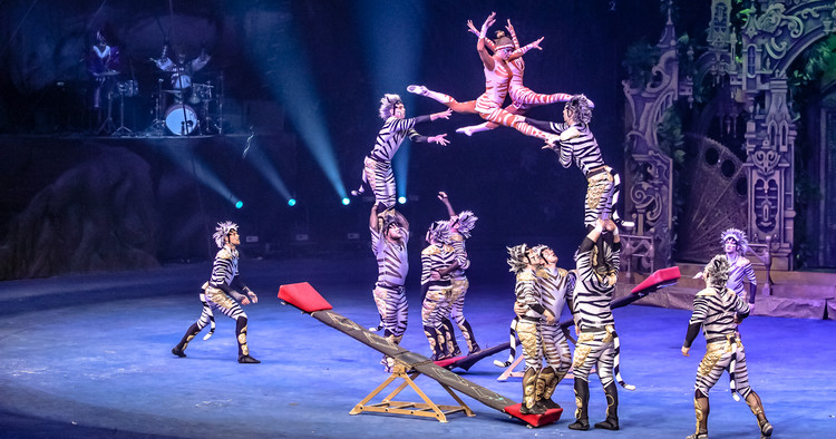 长隆大马戏飞鸟乐园,长隆梦幻大马戏儿童乐园