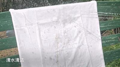 拒水涂层防污小白t恤,爆款黑科技防水防污不怕脏的t恤