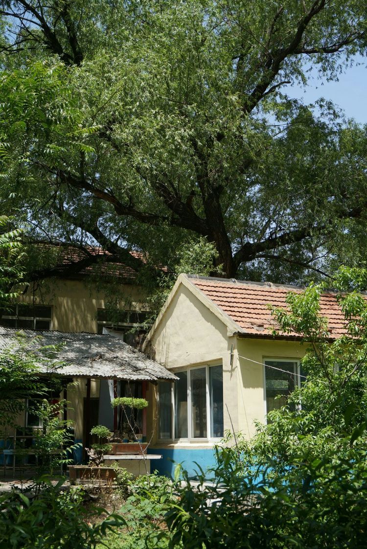 天晴湾风景区,淄川天晴湾