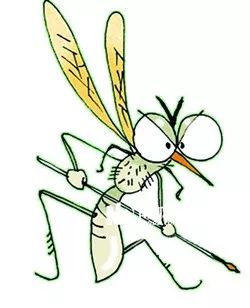 暴雨过后，对于这个烦人的小东西，我们准备了8招~