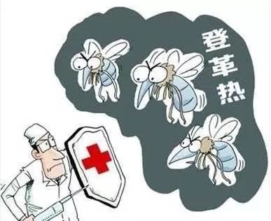 暴雨过后，对于这个烦人的小东西，我们准备了8招~