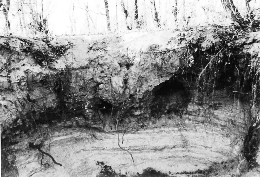 天津话会消亡吗,天津话什么时候消失