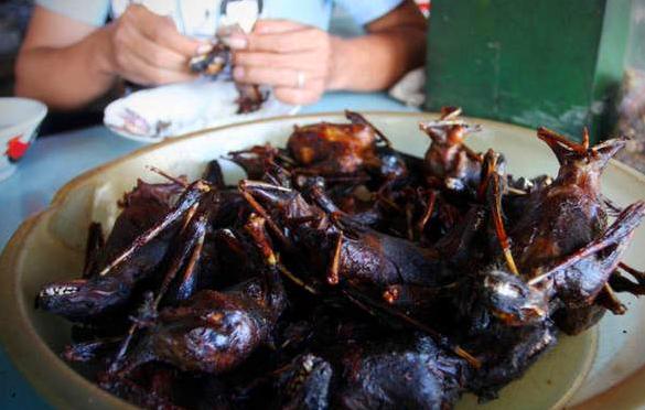 奇食之旅：台湾原住民“飞鼠肉”，肠子最好吃，张惠妹可能也吃过