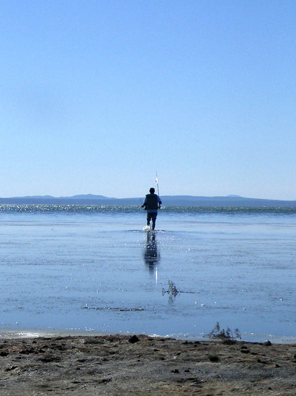 内蒙诺尔湖旅游,内蒙达里诺尔湖