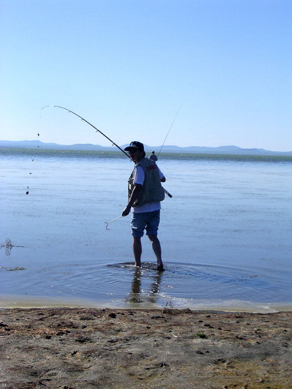 内蒙诺尔湖旅游,内蒙达里诺尔湖