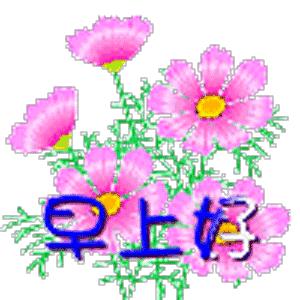 早上好问候语带鲜花表情包,早上好带字图片问候大全