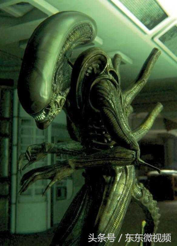 异形大战铁血战士进化史,异形起源异形进化史