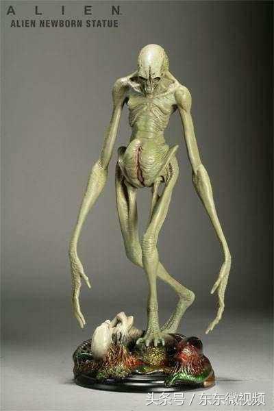 异形大战铁血战士进化史,异形起源异形进化史