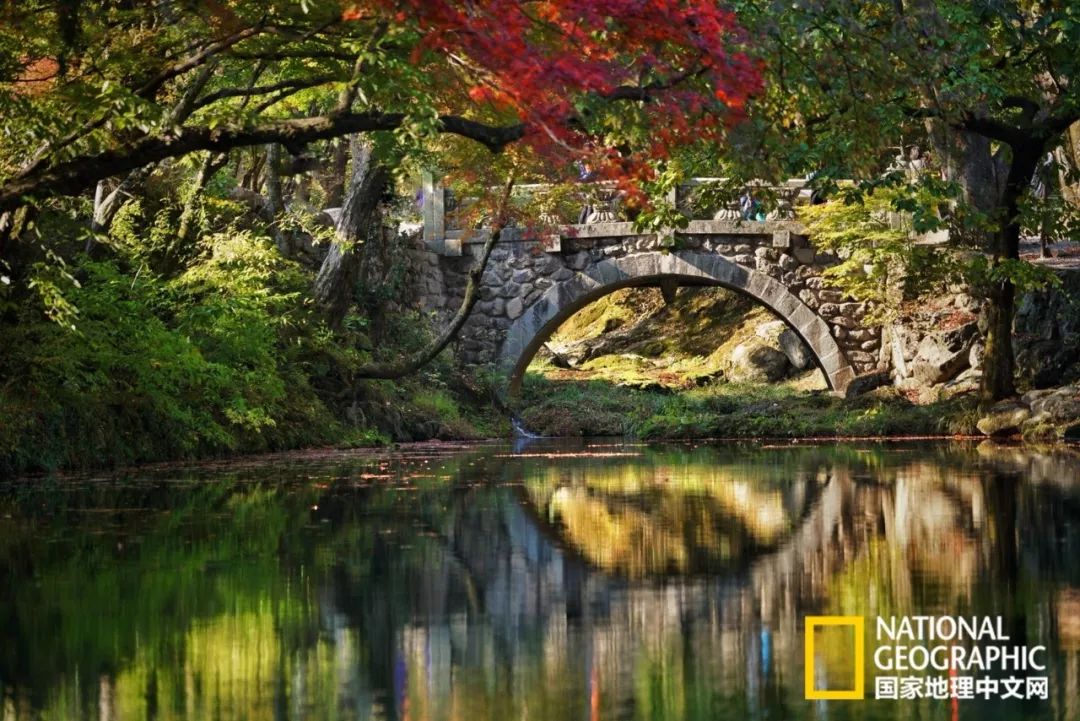 韩国足球的犯规艺术,韩国踢足球犯规现场