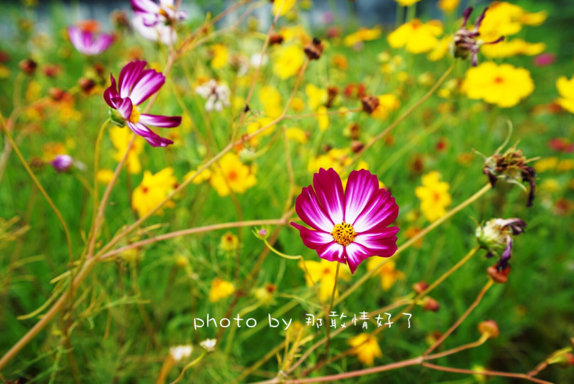 春节滁州小众景区游,滁州人文古城旅游攻略
