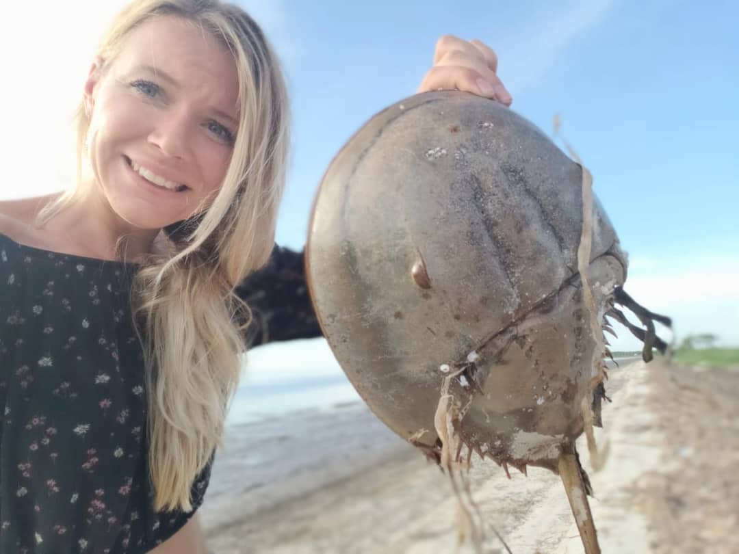 世界搏击冠军第一名女子,世界第一女子搏击