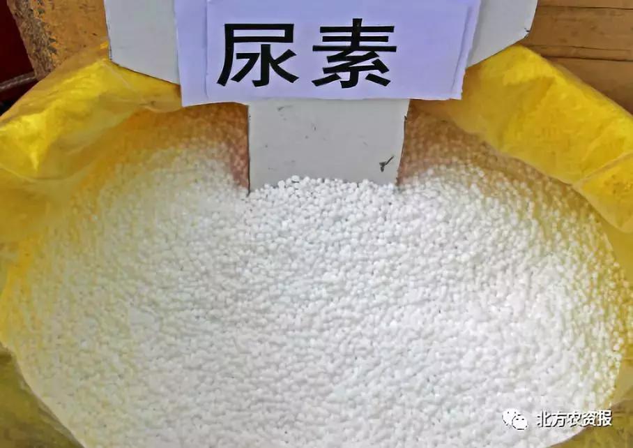 复合肥秋季预收开始，你的钱袋子给了谁？