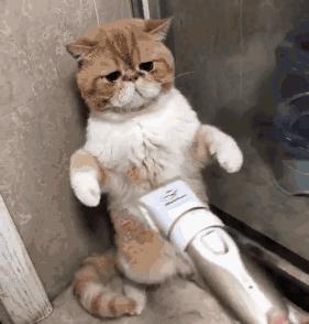 出国帮同事代购香水，因为这件事遭拒收！网友吵翻了……