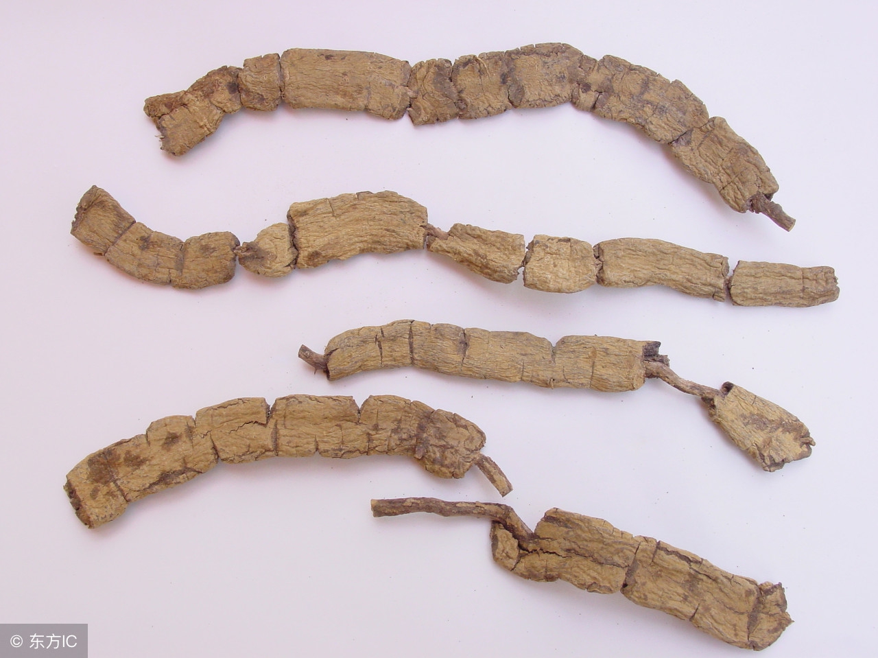 用补药，对症才见效常见中药补阳药，详细对比