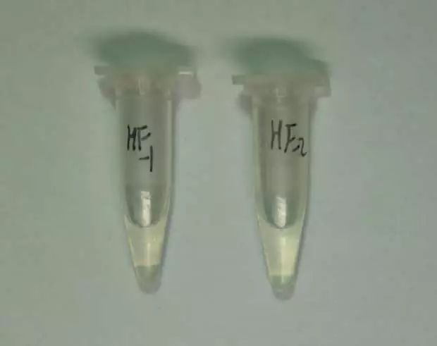 世界上十大最毒知识,毒相关知识