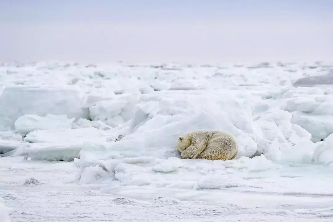 上半年大片,上半年大片推荐