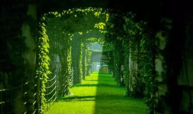 天府本色｜连雨不知春去，一晴方觉夏深