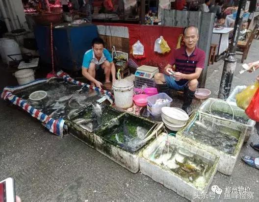 广西柳州最便宜的菜市场,柳州市菜市目前价格一览表