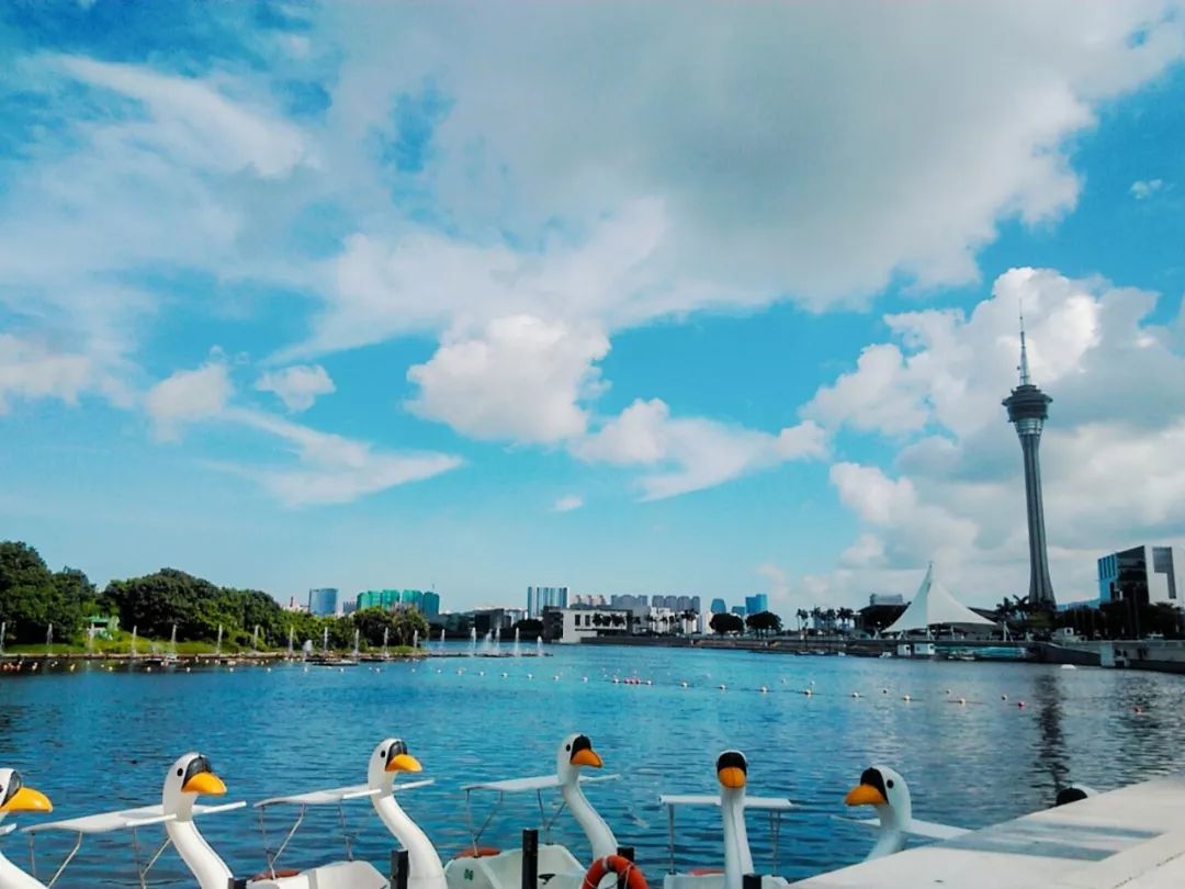 沉醉于澳门的纸醉金迷,纸醉金迷的澳门你去得起吗