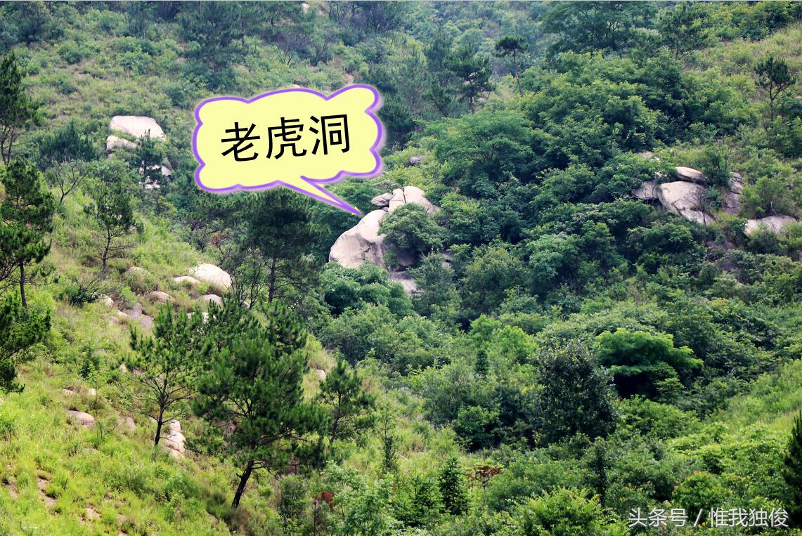 随州太白顶风景区简介视频,发现之旅神农架野人之谜