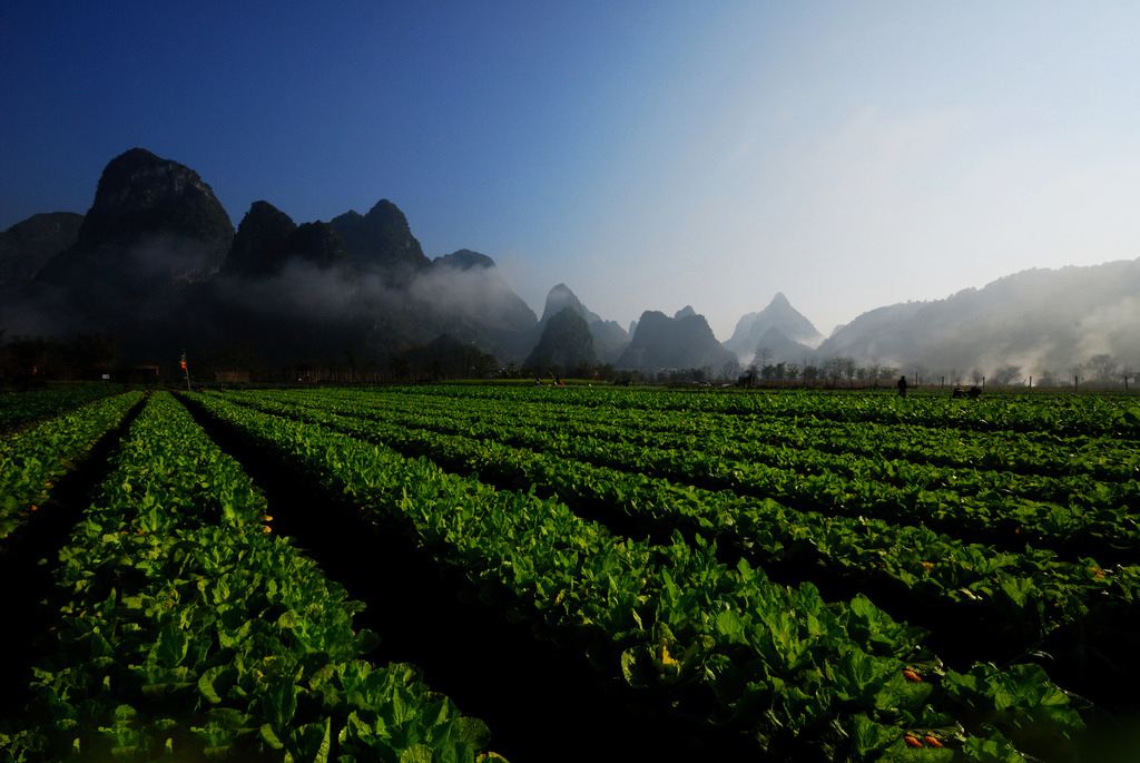 农业创业赚钱的十种运营模式,如何打造农业持续的盈利模式