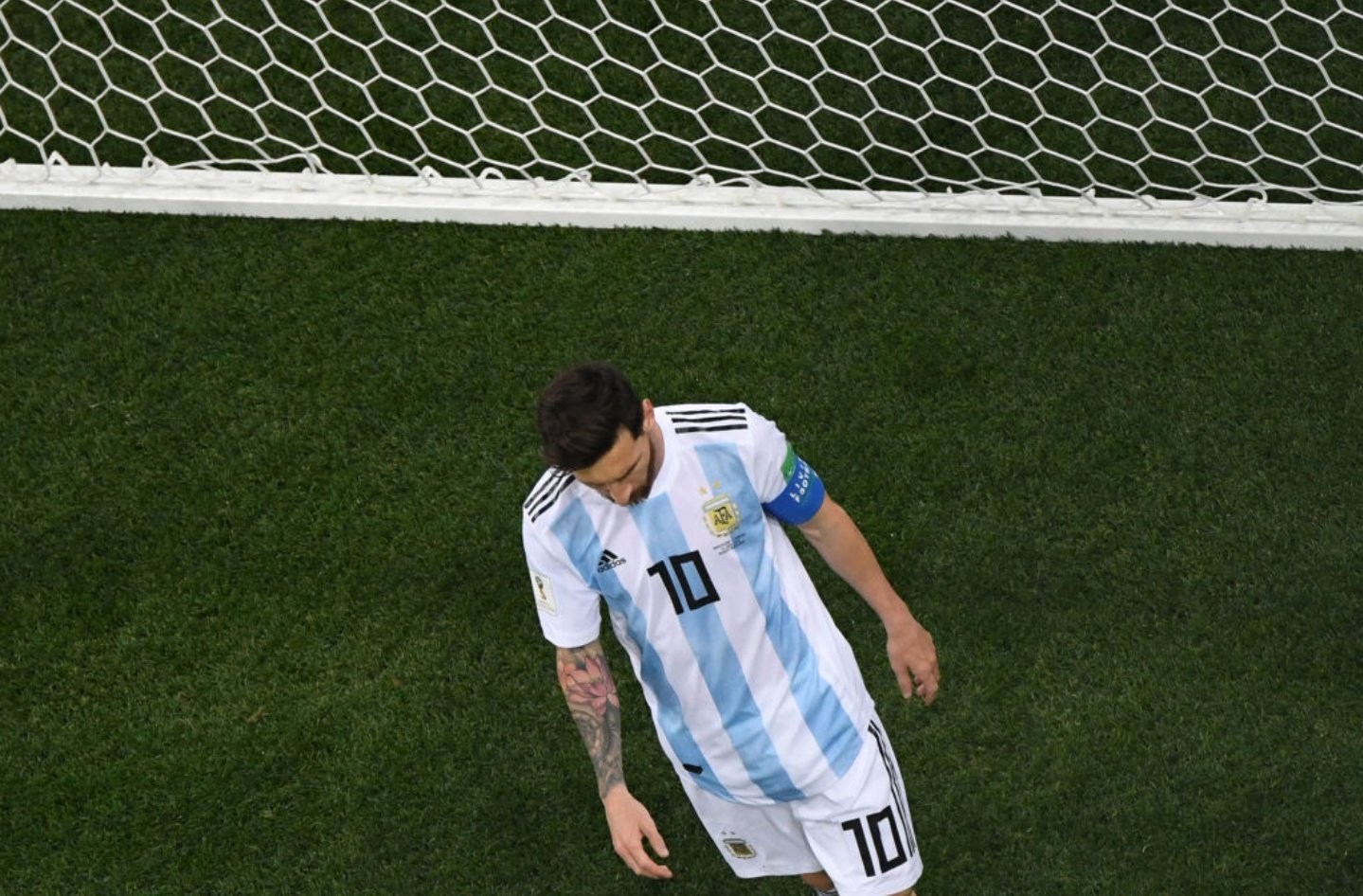 杨坤答案超燃,杨坤神级现场答案