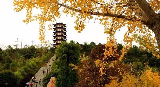 下一站湘府路站,下一站湖南