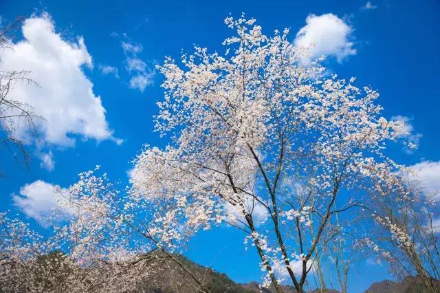 下一站湘府路站,下一站湖南