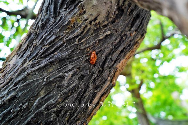 安徽小众旅行地,安徽冬日小众旅游