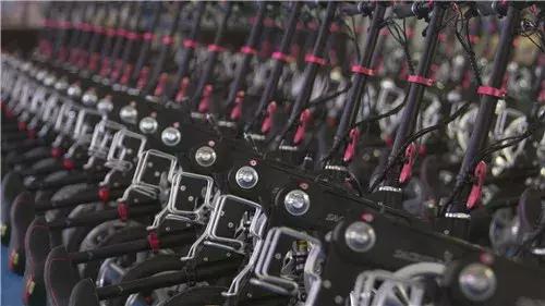 我为家乡代言坡头,我为家乡农产品代言苹果