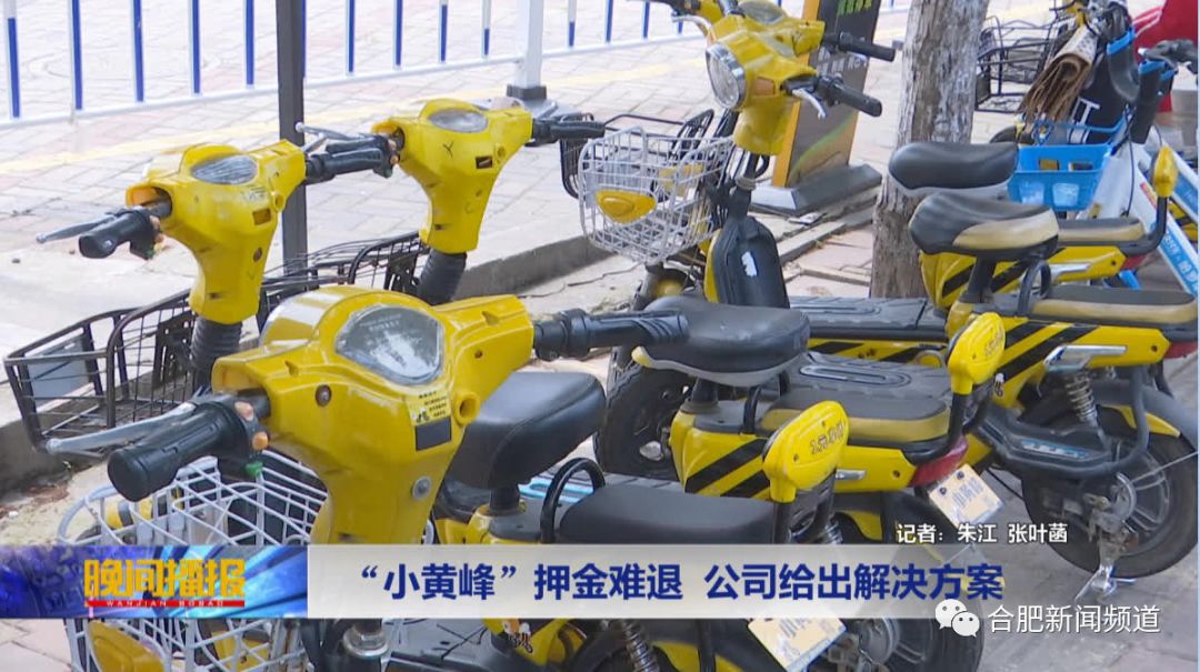 小黄蜂合肥,合肥小黄蜂