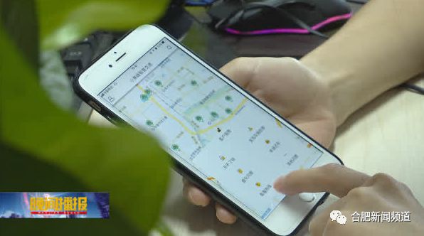 小黄蜂合肥,合肥小黄蜂