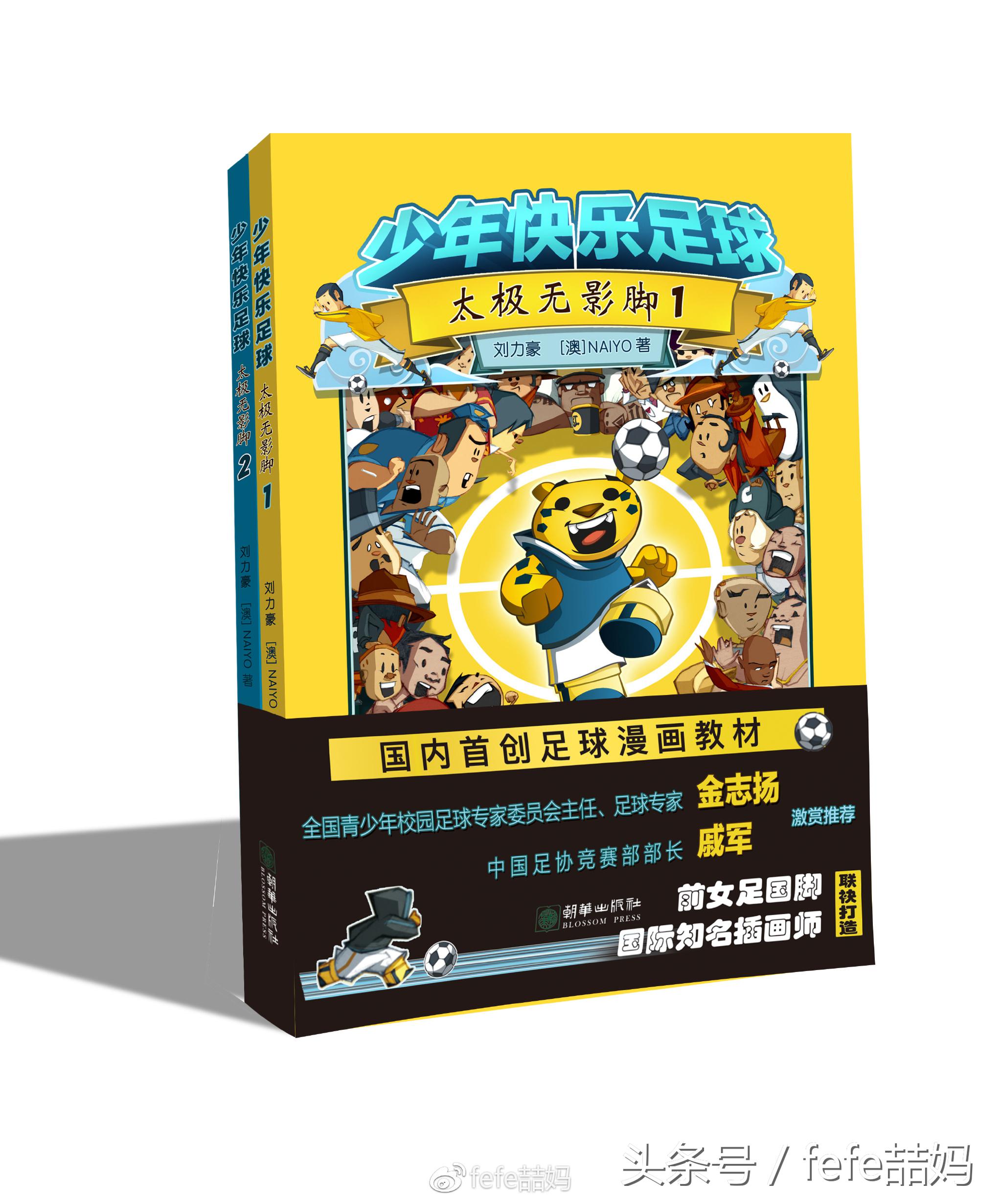 足球世界杯必备书,足球书籍世界杯