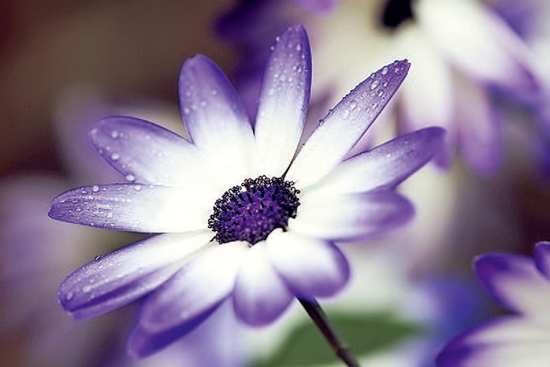 单反相机快速入门,单反相机入门购买