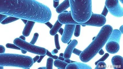 过敏性咳嗽用抗过敏益生菌有效吗,儿童咳嗽能吃合生元益生菌吗