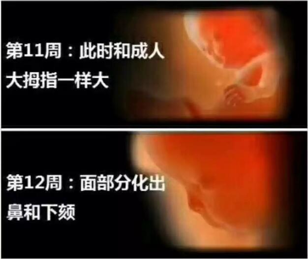 孕妈十月怀胎，详解每周小宝宝在妈妈肚子里发生了哪些变化，实用