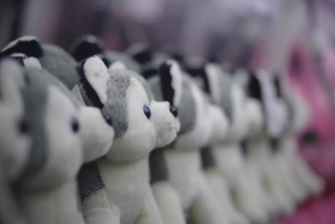 合焦镜头,宾得dfa50mmf1.4