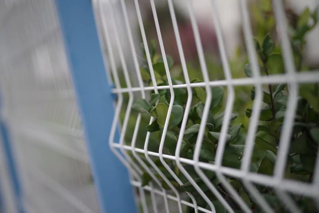 合焦镜头,宾得dfa50mmf1.4