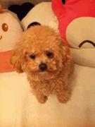 当男朋友很喜欢黏你,当你的男朋友很黏你时