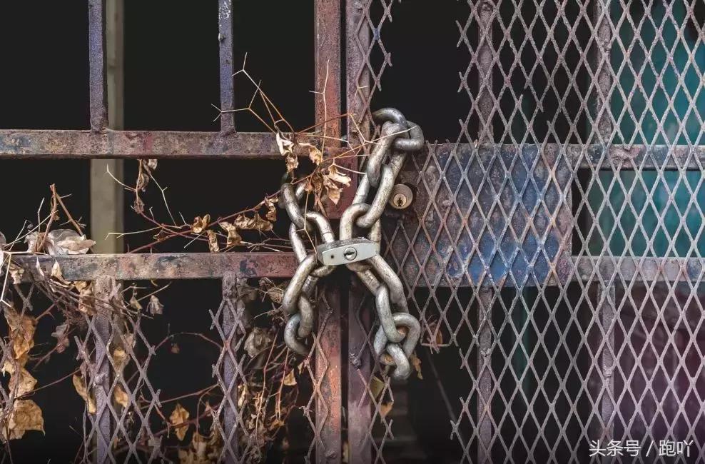 单次世界杯进球最多的国家,世界杯进球最多一场的国家