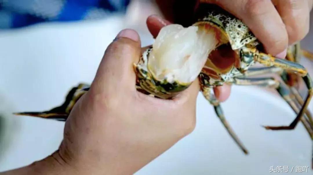 单次世界杯进球最多的国家,世界杯单场进球最多的国家