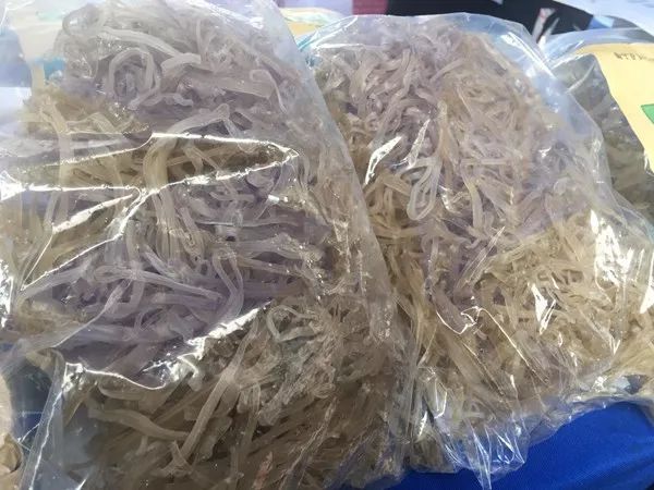 百年荔枝树广西,百年香荔树出售