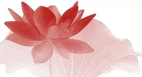 「艺术人生」他17岁成为中国书协最年轻会员，如今写得怎么样了？