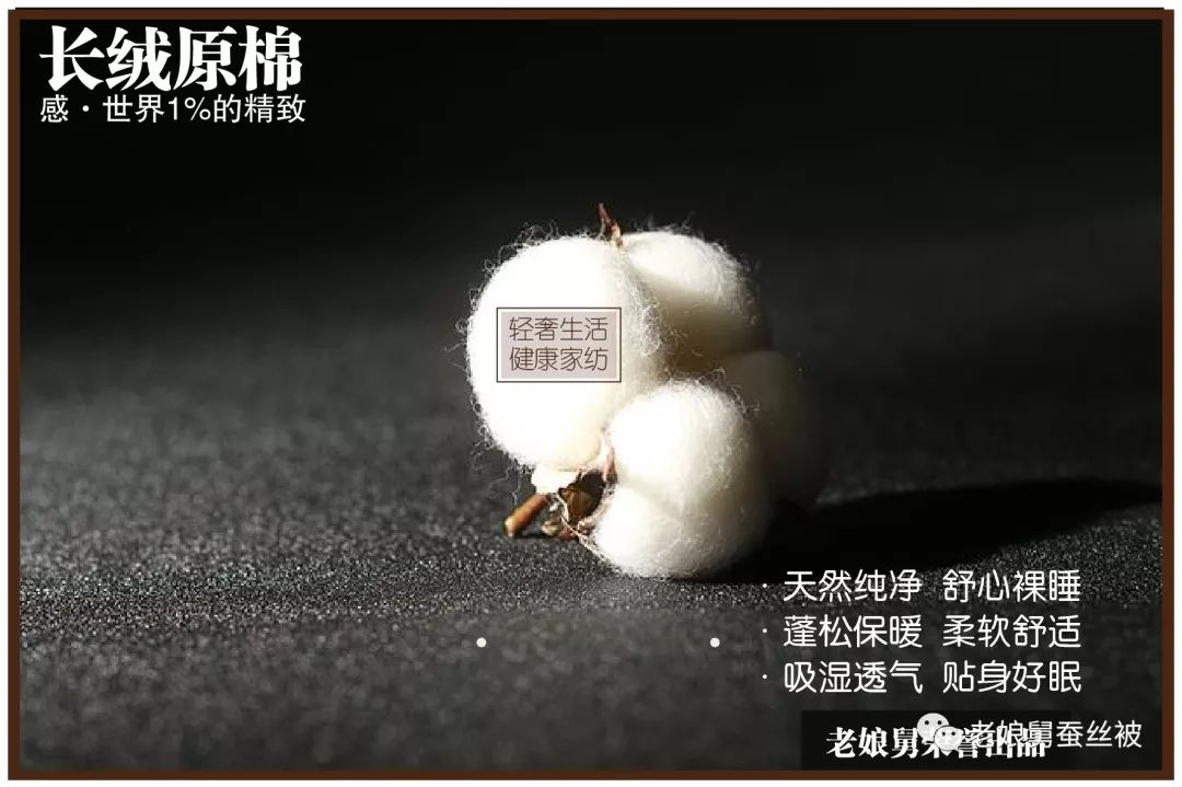 最好的棉花是哪种棉花,棉花的种类哪种好