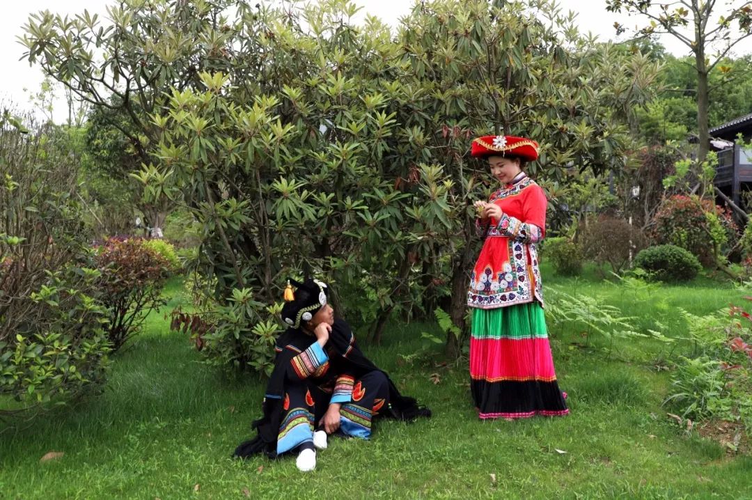 花舍温馨小院主题客栈,北京花舍民宿住宿