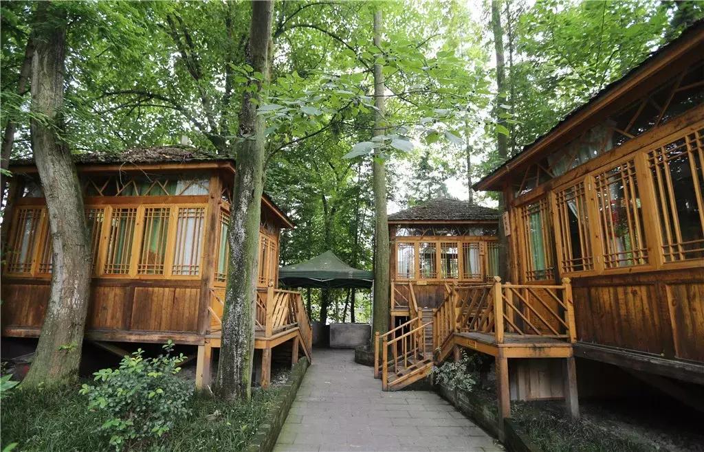 你熟悉的成都“四美”已经变成“五美”了，你知道那是什么吗？