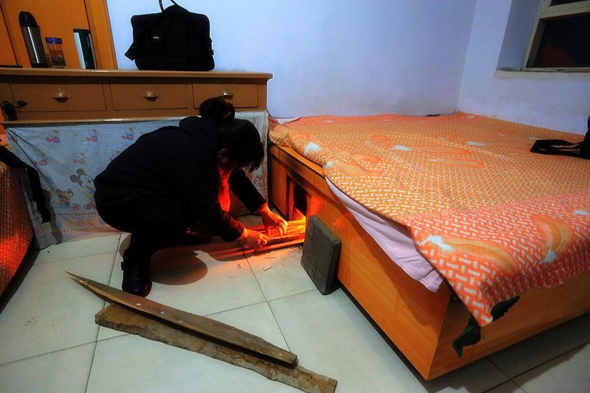 中国何时有棉花,北方没棉花之前用什么御寒