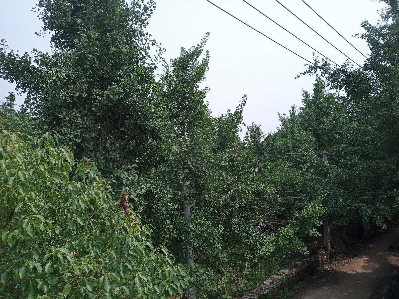 红米6pro值得买吗,红米6pro测评发布会