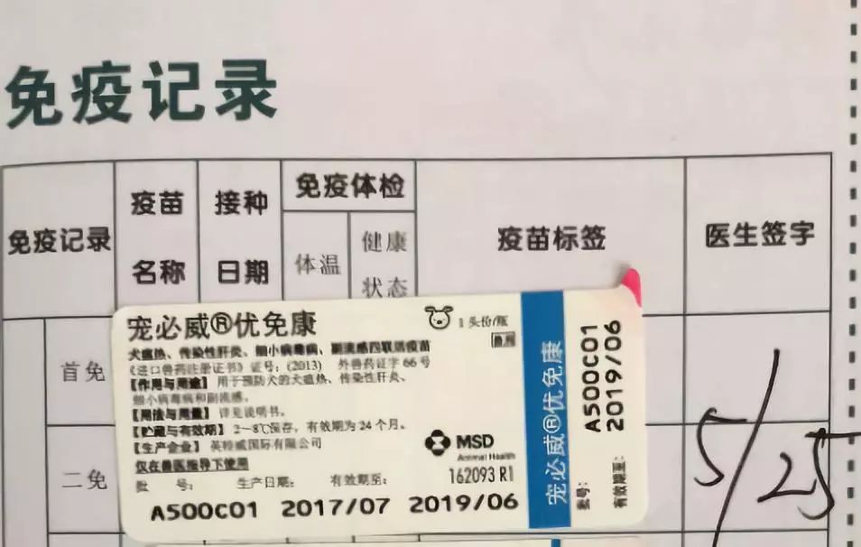 打完三针疫苗的拉布拉多,幼犬三针疫苗里面有没有细小疫苗